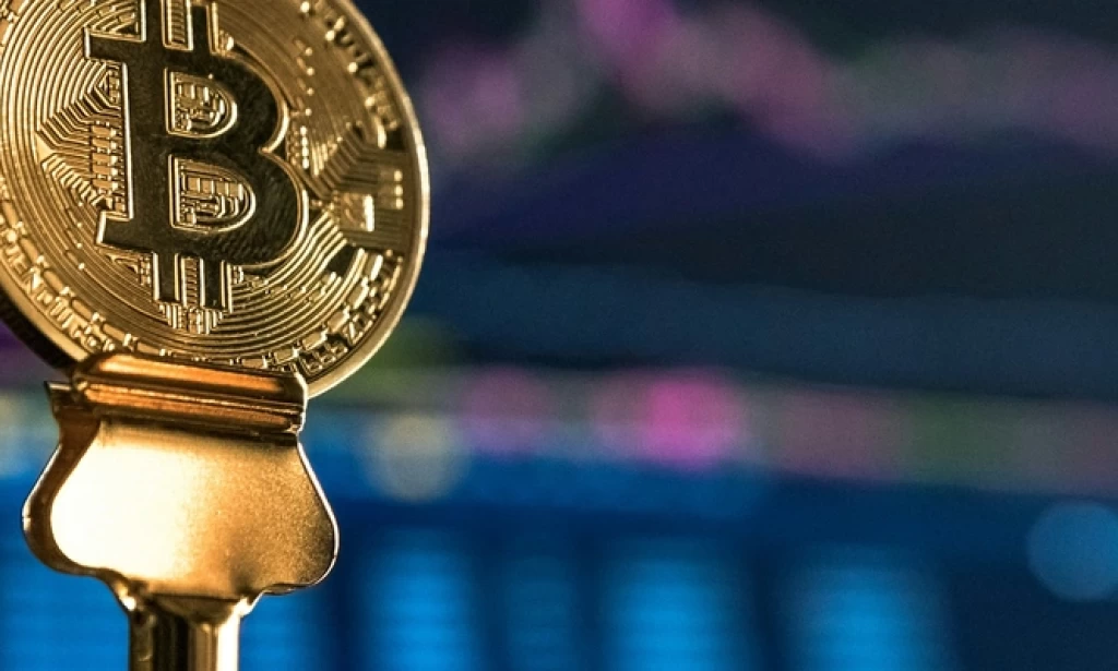 Institutional Appetite Weakens as ETF, DAT Buying Stalls