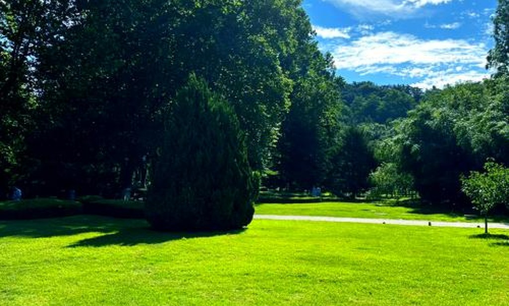 Ethical AI and Responsible Innovation