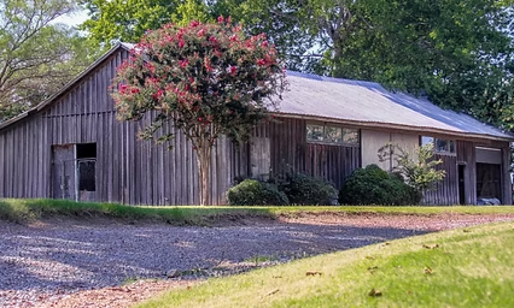 At this Tennessee farm, guests are gobbling up the chance to cuddle with turkeys