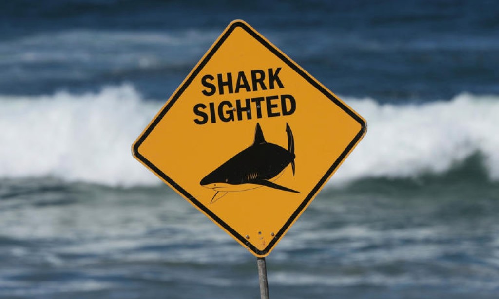 Deadly shark attack in Australia leaves 1 dead, 1 injured