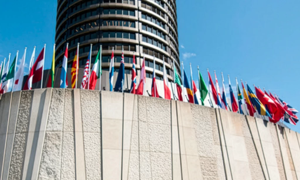 BIS Warns of 'Fragile' $9bn Tokenized Money Market