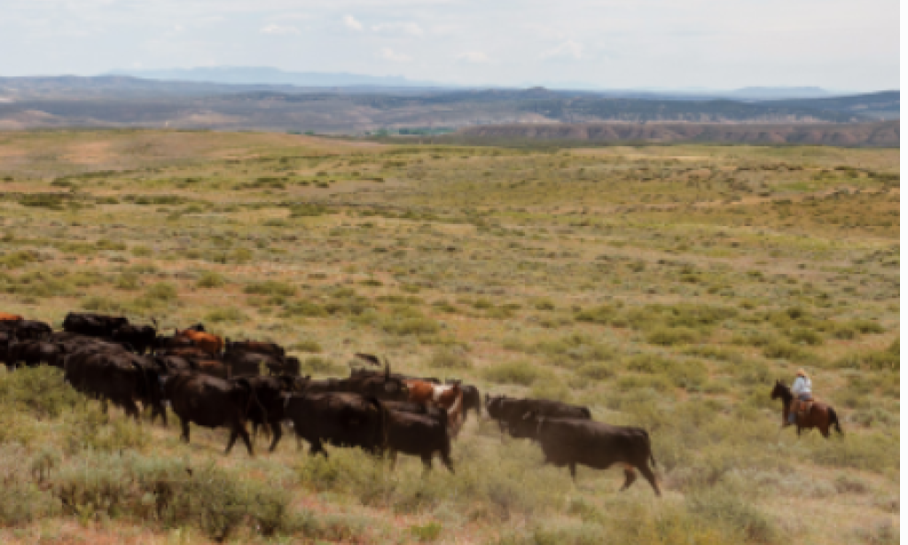 The wealthy profit from public lands, and taxpayers pick up the tab