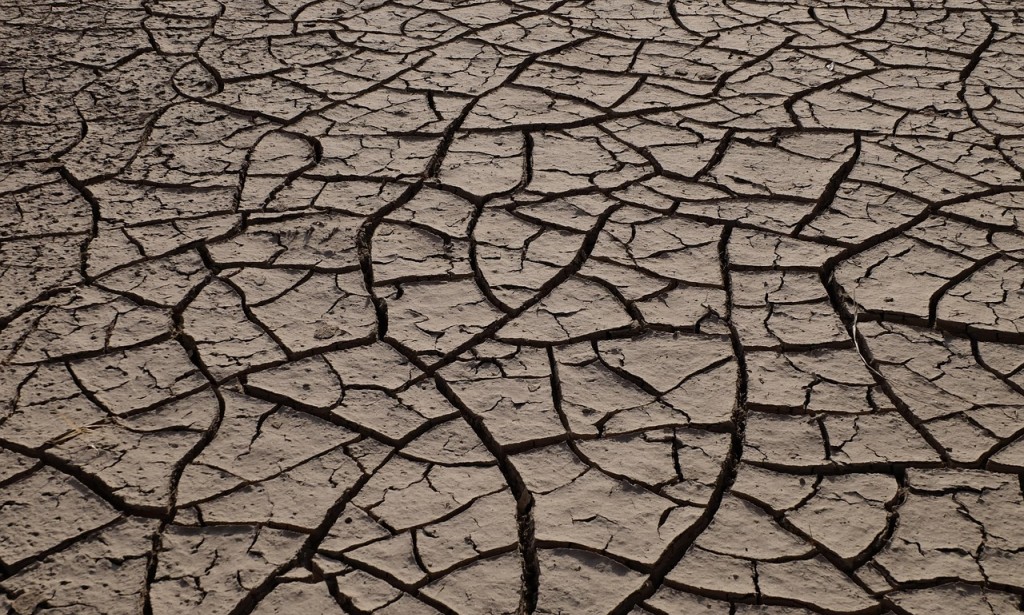 UN Report Warns of Climate Change's Growing Threat to Global Food Security