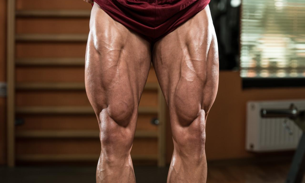 Unlock the Secrets of Scientific Leg Training: Your Ultimate Guide