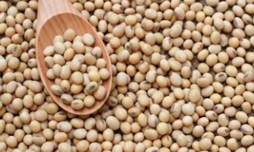 A look back at a turbulent 2025 for soybeans, corn and wheat