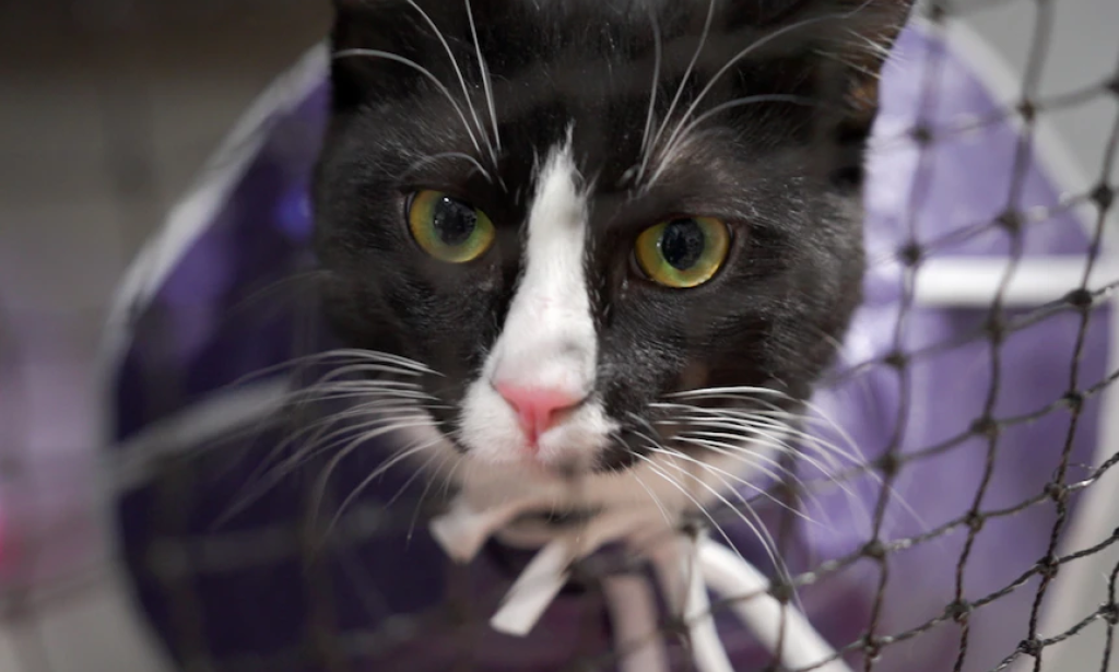 Australian laws changed in six important ways in 2025