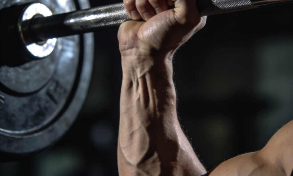 Outline: How to Build Muscle Scientifically