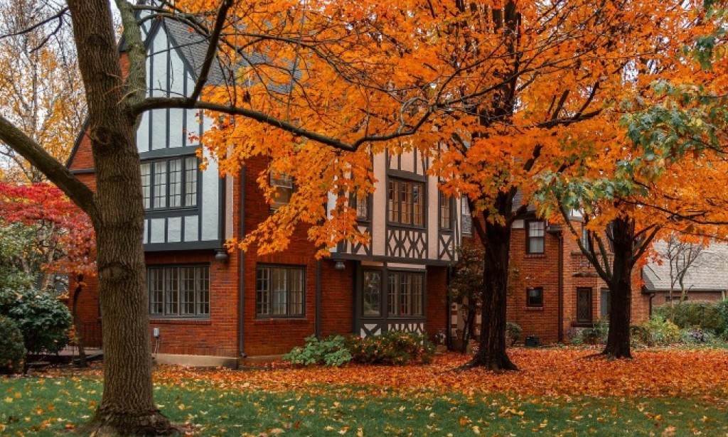 Ohio's Hidden Gems: Beyond the Stereotypes, a Land of Breathtaking Landscapes and Vibrant Culture