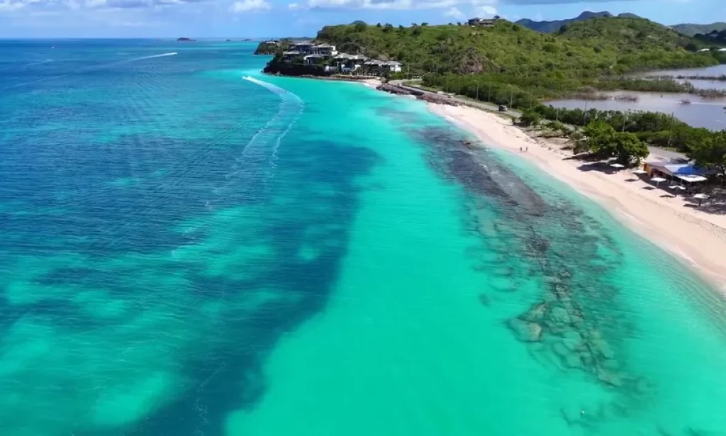 US freezes all visa processing for 75 countries, including Somalia, Russia, Iran