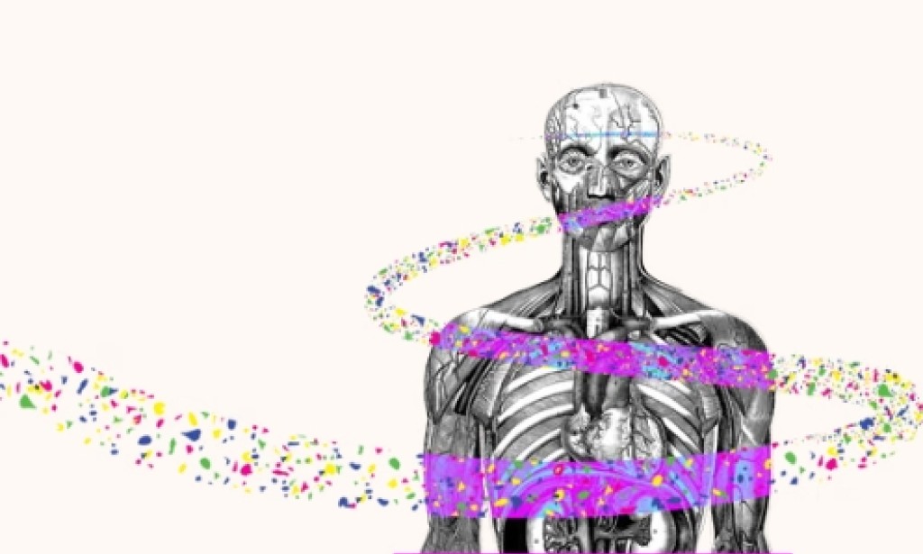 Scientific rigour and the dangers of microplastics