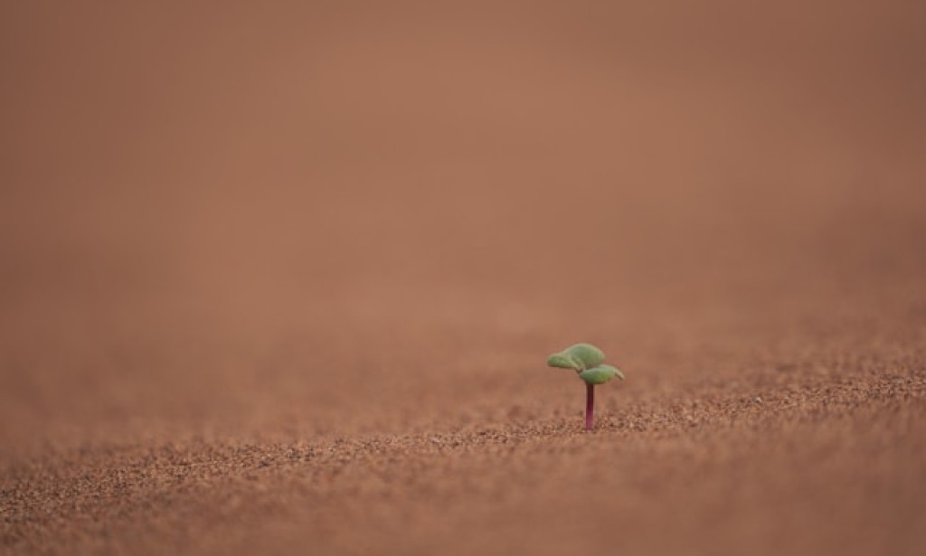 10 Habits for Looking Younger: Stick to Them for a Long Time!